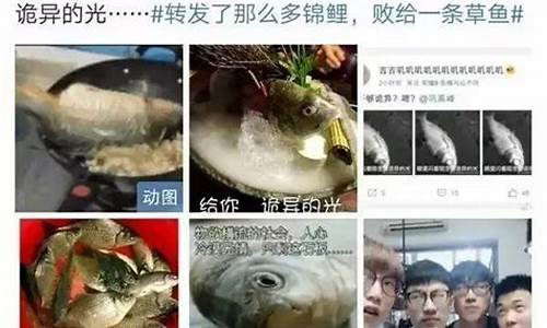 高考鱼诡异的光答案_鱼诡异的光高考语文标准答案