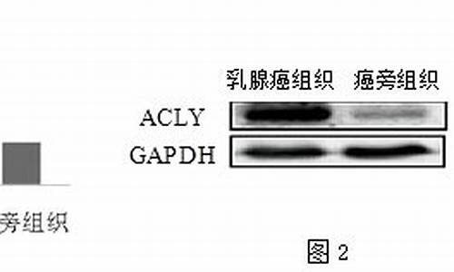 2017高考答案二卷数学_2017高考二卷数学理科答案