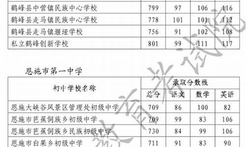 湖北恩施卫校招生要求2020分数线_恩施卫校招生分数线