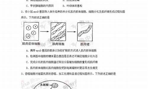 2021山东高考理综难不难,山东高考理综难度2017