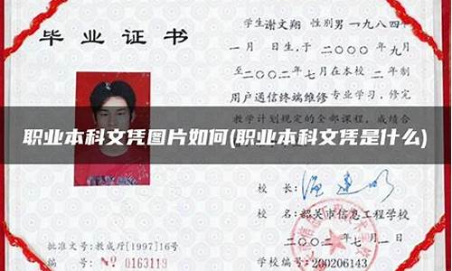 本科文凭是什么,本科文凭是什么级别